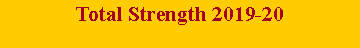 Text Box: Total Strength 2019-20